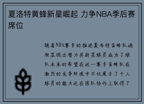 夏洛特黄蜂新星崛起 力争NBA季后赛席位